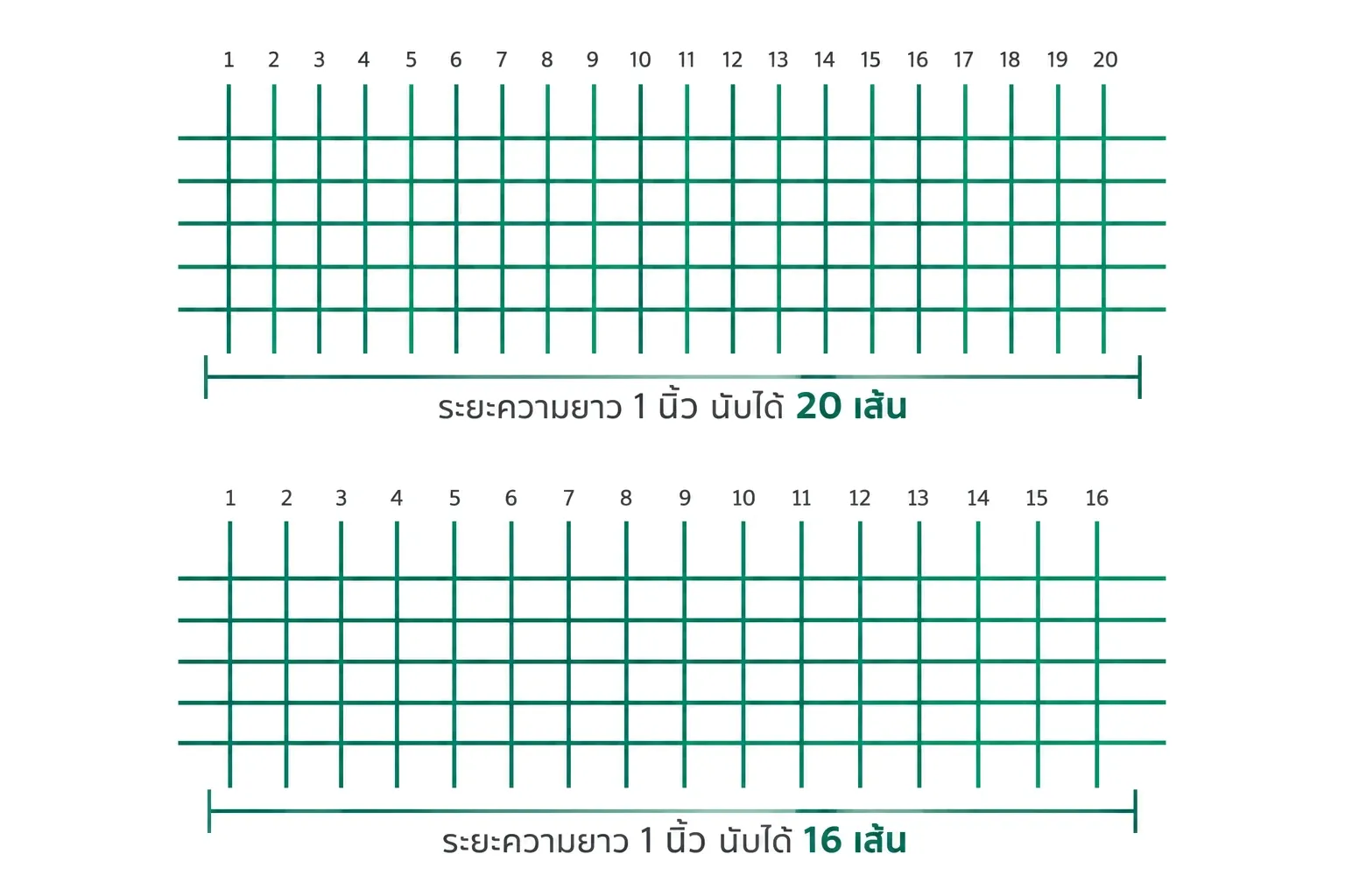 แผนภาพวิธีนับความถี่ตามุ้ง นับเส้นในระยะความยาว 1 นิ้ว ตัวอย่าง 20 เส้นและ 16 เส้น