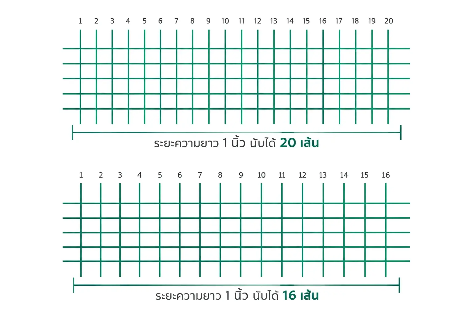 แผนภาพวิธีนับความถี่ตามุ้ง นับเส้นในระยะความยาว 1 นิ้ว ตัวอย่าง 20 เส้นและ 16 เส้น