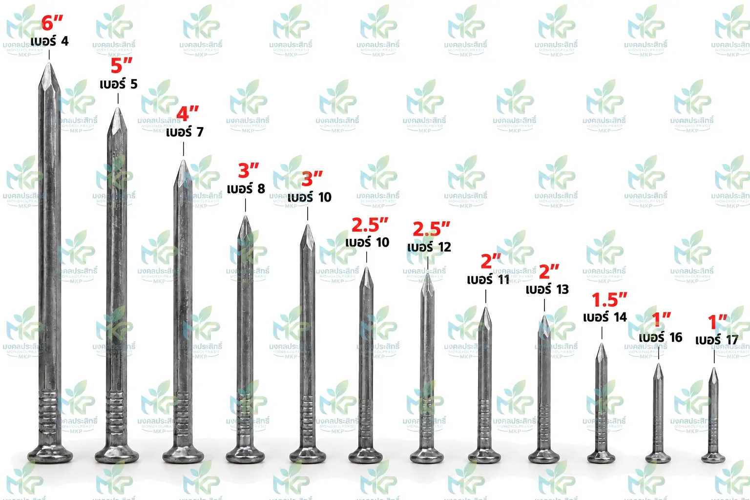 ตะปูตอกไม้ 12 ขนาด เรียงจาก 6 นิ้ว เบอร์ 4 ถึง 1 นิ้ว เบอร์ 17 พร้อมป้ายขนาดและเบอร์