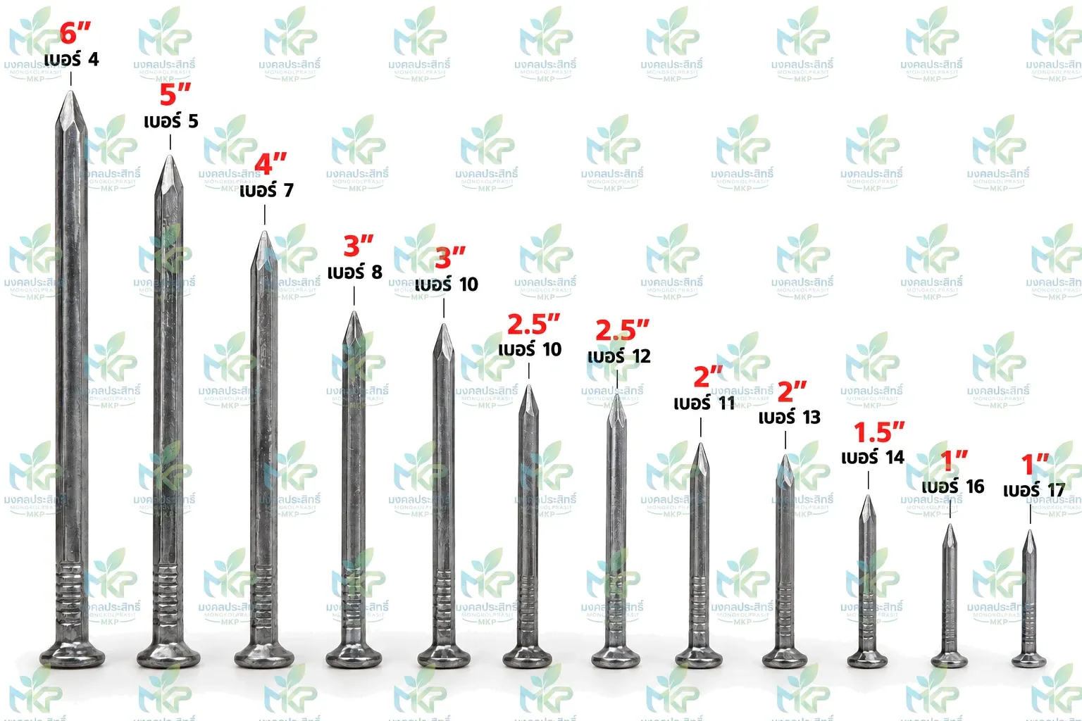 ตะปูตอกไม้ 12 ขนาด เรียงจาก 6 นิ้ว เบอร์ 4 ถึง 1 นิ้ว เบอร์ 17 พร้อมป้ายขนาดและเบอร์